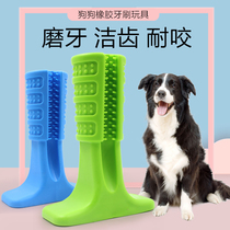 Pet dog molar toy puppy toy Labrador bite-resistant dog gum toy toothbrush medium and large dog supplies