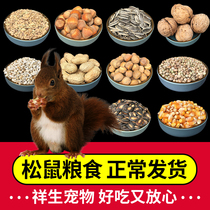 Squirrel food Food Devil Jinhua Huangshan staple food ration food for cubs snacks Special food for main food
