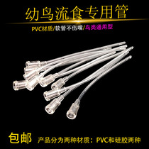 Parrot feeder young bird feeding liquid food tool chick feeding tool young bird feeding flow esophagus medium bird feeder