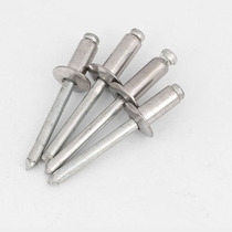 304 stainless steel core pulling rivets flat round head decorative pull nail core pulling willow nail M3 2M4M4 8M5M6 4
