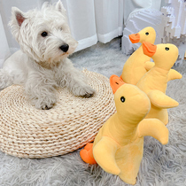 Dog toys vocal plush resistant to bite-resistant Puppies Puppies pet than bear puppies small dogs dog supplies