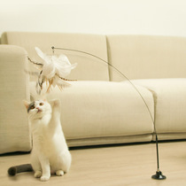 Peggy kitten cat stick sucker fixed long pole steel wire feather Bell bite resistant cat interactive self-Hi cat toy