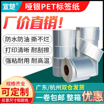 Xuanchu Small specification dumb silver Self-adhesive electronic product label 50mm*40 30 20 15 10 8 5cm Asian silver dragon fixed assets tear not rotten warranty date bar code printing P