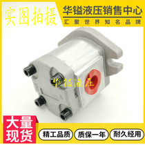 Sorui oil pump HGP-3AF11R Gear pump HGP-3A-F14R F17R F19R F23R F28R F30R