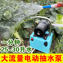 Small rechargeable pump Watering artifact Agricultural watering pump irrigation watering vegetable household pastoral watering machine