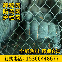 Bold chicken net poultry breeding net Skynet chicken and duck net plastic net protective net vegetable garden fence net nylon net
