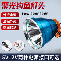 Head light fishing special fishing light Night fishing lamp head super bright bright light blue light headwear type large capacity wild fishing 12V
