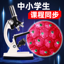 Childrens microscope 10000 times home science students toys bio-optics experimental set pupils