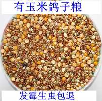 10kg of corn pigeon food flying nutrition feed bird food pigeon ornamental pigeon meat pigeon pigeon food pigeon food