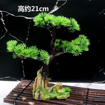 Hotel sashimi dishes plate decoration flowers and plants creative welcome pine small ornaments Japanese sushi surrounding edge