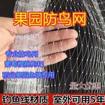 Nylon Net anti-Sparrow net Orchard anti-bird net fruit tree Cherry fish pond breeding grape bird-proof Sky Net wire mesh
