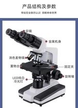 Microscope-member-specific custom connection connection