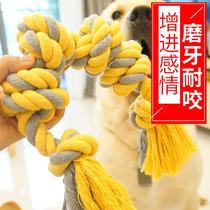 Pet toys bite-resistant voice Puzzle interactive training dog molars puppies Corky Teddy cloth dolls