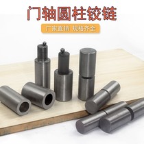 Welded Door Shaft Iron Door Hinge Cylindrical Space Shaft Fire-fighting Hidden Door Dismount Door Shaft