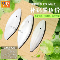 Polished cuttlefish bone tiger skin Xuanfeng peony bird food parrot calcium food pet toy grinding mouth feed bird supplies