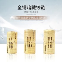 Lined hinge bucket concealed hinge cylindrical cross hinged pure copper folding door 8 cm 10 12 12