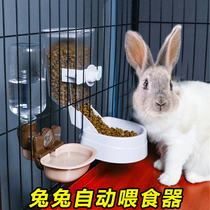 Rabbit automatic feeder Anti-waste food bowl Pet water feeder Grass feeding trough supplies Rabbit drinking water