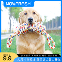 Dog toys resistant to bite molars large dogs golden hair Labrador dog bite rope knot big dog tug-of-war supplies