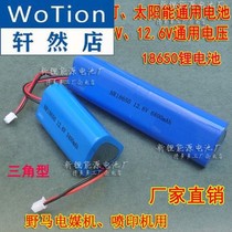 Mustang Great Sheng Power Coal 10 8v character type 12 6v triangle Ocean King printer amplifier rechargeable lithium battery