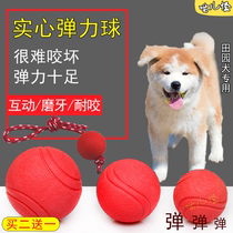 Field dog special dog toy ball pet resistant to biting and solid ball puppies for large dog grinding to relieve the elastic ball
