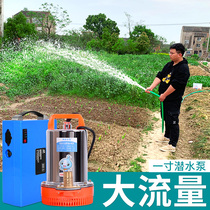 Charging watering vegetable water pump agricultural irrigation outdoor household small pump 12 48V electric vehicle DC submersible pump