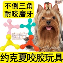 Yorkshire Puppy special bite glue Toys resistant to grinders Toothless Tumbler Dog tumbler Tumbler Puppies Minidog Supplies