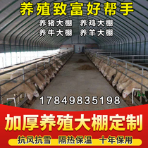 Farming greenhouse skeleton steel pipe full set of insulation chicken coop cattle shed sheep pen pig house greenhouse farm greenhouse equipment