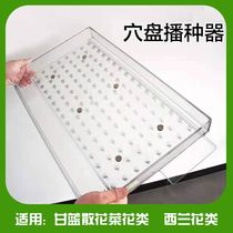 Pepper lettuce lettuce lettuce cabbage cauliflower broccoli vegetables traditional Chinese medicine flower and grass hole seed seeder seeder seeder seedling nursery