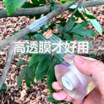 Special film for grafting 3cm without knotting Plastic film Sapling bandage tape stretch film Garden fruit tree grafting film