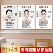 Facial Feng Shui Poster Beauty Salon Wall Decorative Painting Skin Management Bubble Cleaning Medical Micro Plastic Hanging Painting