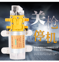 Intelligent with pressure switch 12v volt electric sprayer water pump high pressure diaphragm self-priming watering pesticide machine water pump
