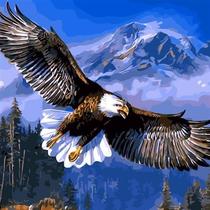 Eagle - Painting by numbers 40*50cm hand painted fWrameless