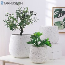Nordic flower pot floor white magnesium cement dragon blood tree lemon tree paradise bird Tiger Piran leaf Banyan flower pot