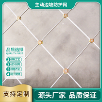 Active slope protection net Mountain slope protection net sns Passive anti-dangerous rock solidification net Flexible wire rope safety net