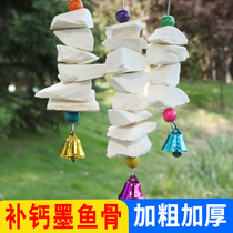 Cuttlefish bone Xuanfeng Tiger skin Peony parrot Calcium molar supplies Tools Gnawing bird food Squirrel turtle Hanging string toys