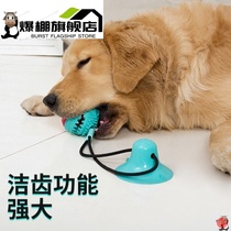 Dog toy suction cup tension resistant to bite molars to solve the problem