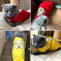 Cat clothes belly protection blue cat pet cat sleeveless cat cat kitten winter mother cat winter warm autumn winter plus Velvet