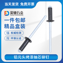  Black core pulling rivets Round head aluminum pull nails Paint open decoration pull willow nails 2 4 3 3 2 4 4 8 6