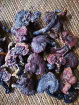 Yunnan Plateau pure wild Red Ganoderma Lucidum