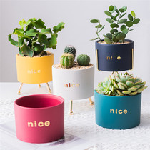 Fleshy flowerpot with shelf simple ceramic cute creative personality potted ins Wind Nordic Net red ceramic flowerpot