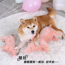 Dog sleeps with pig vent toy male dog vent fire Teddy method fighting estrus period sparring fire mating companion pet supplies