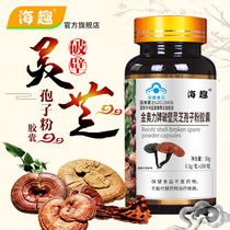 Ganoderma lucidum recommended 3 bottles of 300 capsules with broken wall of Ganoderma lucidum spore powder capsules with high content and high wall breaking to enhance immunity