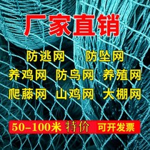 Plastic chicken net poultry net skynet chicken and duck net pheasant net protective net vegetable garden fence net nylon net