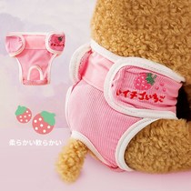 Dog health pants bitch menstrual pants female aunt sanitary napkins small Teddy daddies pet menstrual aunt pants