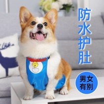 Dog belly waterproof anti-dirty corgi dog raincoat dog summer stomach protection cold pet small dog clothes