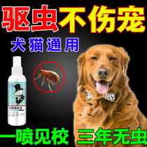 Pet dog cats remove infestation spray dewormfery insecticide insecticide insecticide insecticide tick dedicated agent for delete bacterial insect