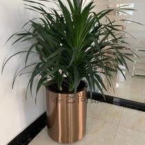 Stainless steel flowerpot round beautiful Chen vase cylinder drop metal titanium black gardening flower Ware green plant pot Flower Bowl