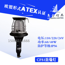 Shanghai Liangzhou marine explosion-proof portable lamp work lamp CFS1 incandescent lamp Rubber handle with protective mesh cover IP56