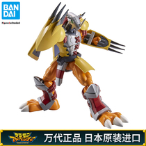 Bando assembled model Figure rise FRS digital baby battle Tyrannosaurus TV version animation version