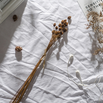 Art Small Freshening Photo Props Photography Props Gourmet Jewellery Home Shooting Props Pine Nuts Flowers